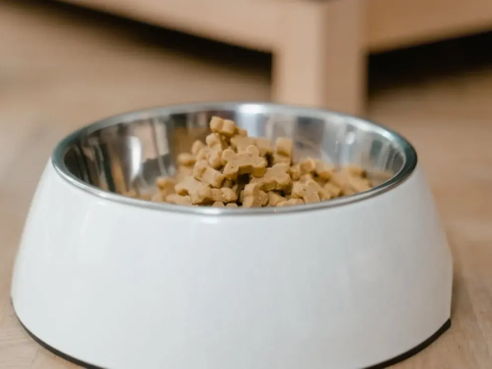 Stainless Steel Dog Bowl