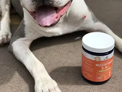 Dog Multivitamin Chews 30s