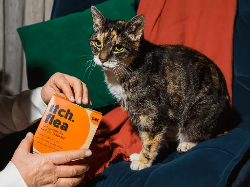Cat Flea Treatment Spot-On