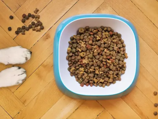 Premium Dog Kibble (500g)