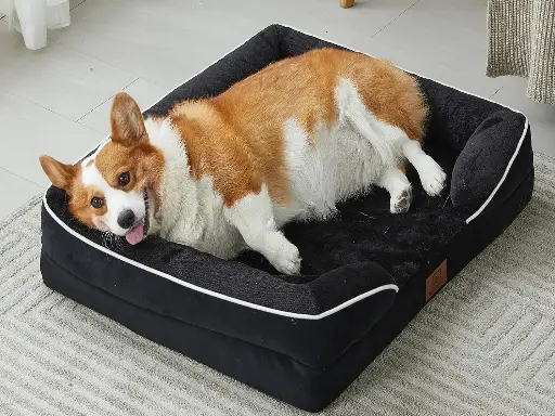 Orthopedic Dog Bed